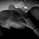 IMG_5512