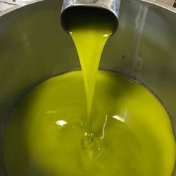 Olio 