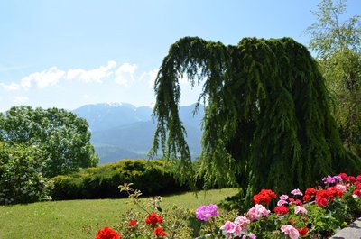 Villa Carano (1) 