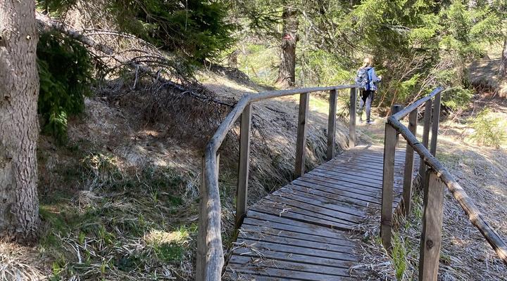 passeggiate nella natura