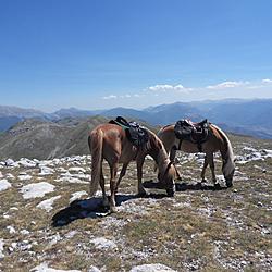 Cavalli sulla majella Abruzzo nelle Terre Pescaresi 