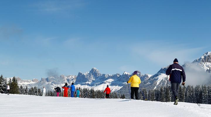 Cross-country skiing in the Fiemme valley