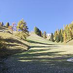 Movimenti terra pista "Torre di Pisa" comprensorio Fiemme - Obereggen 