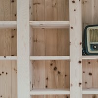 Appartamento Dolomiti Trentine  - Il Cirmolo non parla. Ma a parlare sono le sue proprietà benefiche: abbassa la frequenza cardiaca, aumenta la qualità del sonno ed il facile recupero delle energie. Non solo un legno quindi, ma una naturale medicina per l