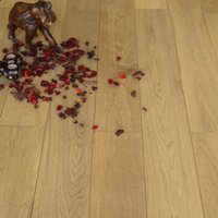 Rovere Mod. Contract  - Levigato verniciato naturale