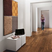 American Walnut  - Sanded Natural Oil