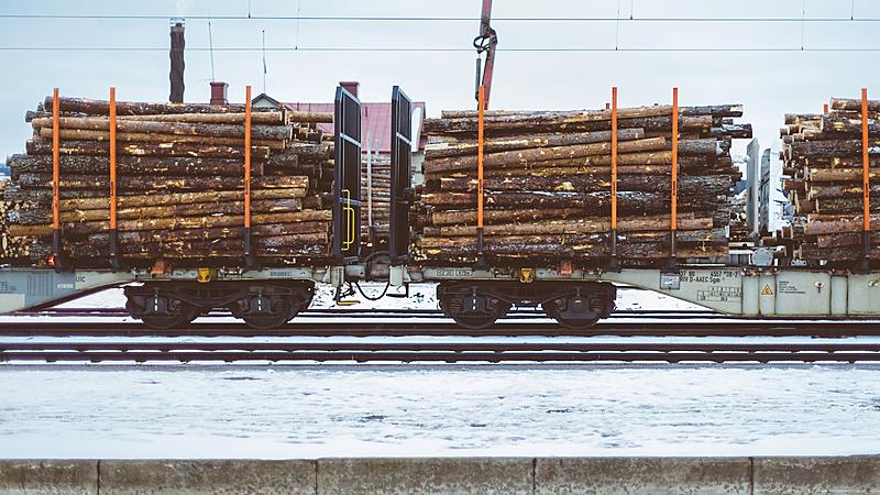 Garantire la sostenibilità del parquet. Parkemo vi spiega come