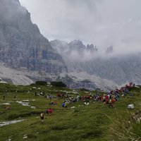 genzianella brenta bruno detassis ferro 