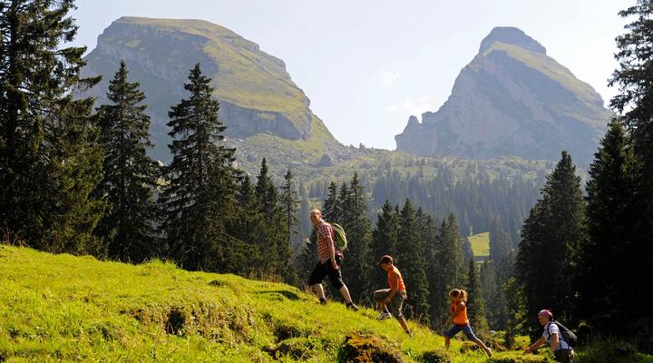 Excursions in the Fiemme Valley - Dolomites