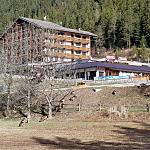 Esperienze ed emozioni Union Hotels Canazei - Caprioli vicini all' hotel caminetto a Canazei val di fassa