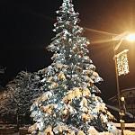 Esperienze ed emozioni Union Hotels Canazei - Albero di Natale a Canazei val di fassa