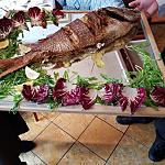 FOTO UHC - Gourmet ed Enogastronomia Hotels 4 Stelle - Hotel Rubino, hotel Diamant, hotel Soreghes e hotel Dolomiti