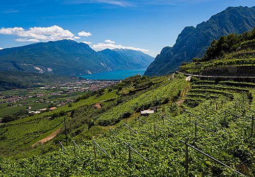 4 passi tra borghi, vigneti ed oliveti nell'Alto Garda: il valore del vino attraverso la scoperta del territorio