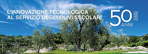 L'innovazione tecnologica al servizio degli olivi secolari
