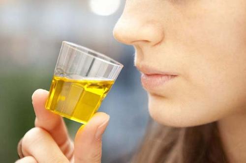 Corso per aspiranti assaggiatori di olio d'oliva