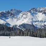 Vacanze in Montagna per Sognare