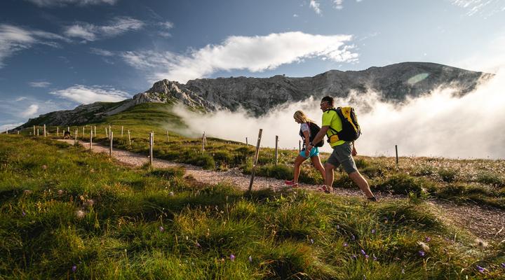 The Natural Parks of the Val di Fiemme