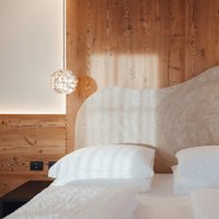 GAP_6561 