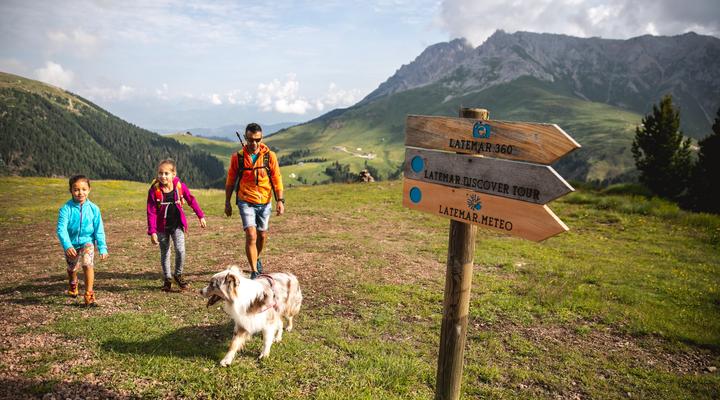 Our summer mountain walks