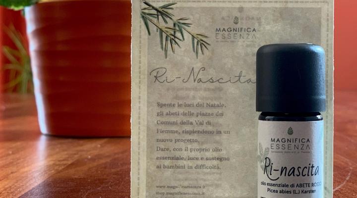 PROGETTO RINASCITA